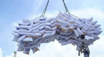 تحديات الزراعة.. 5 معوقات تعيق النمو رغم الطفرة الكبيرة في الإنتاج المحلي